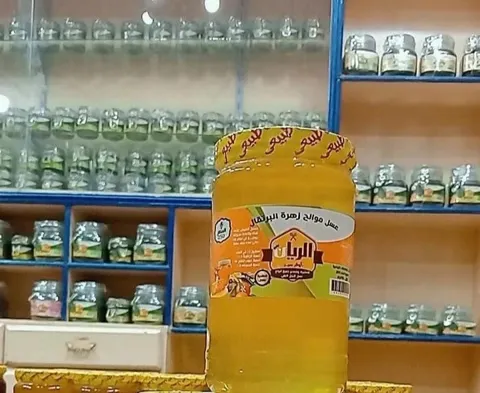 عسل موالح زهرة البرتقال